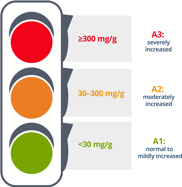Assessing the Risk of Chronic Kidney Disease Across Different Albuminuria Categories