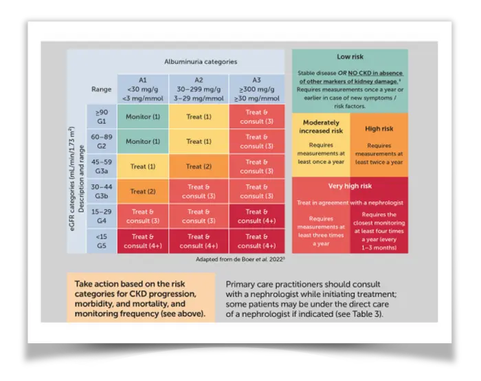 Watch Professor P. Topsever Explains CKD Risk Categories Using the KDIGO heatmap.