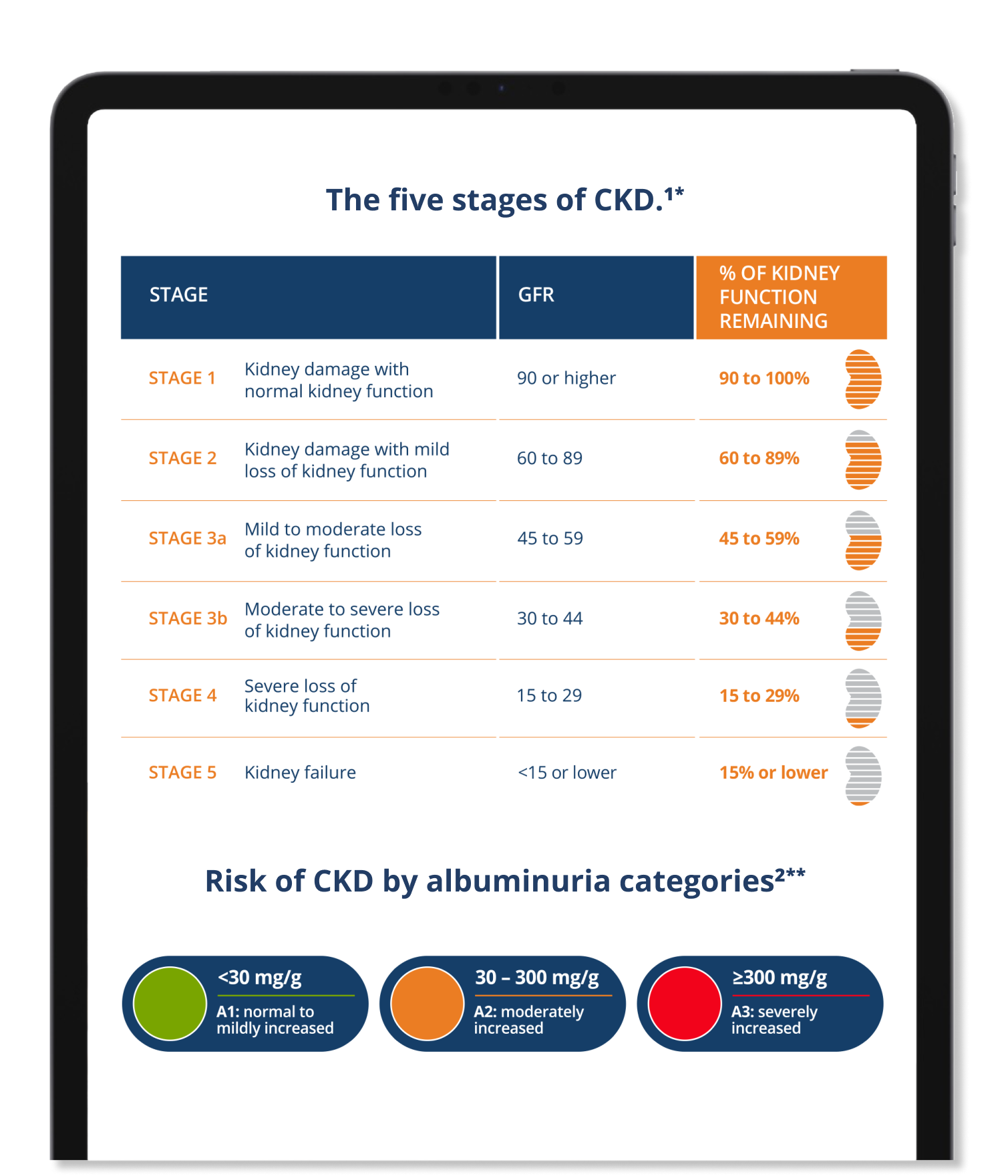 Gain a Comprehensive Understanding of CKD Diagnosis and Progression with eGFR and UACR