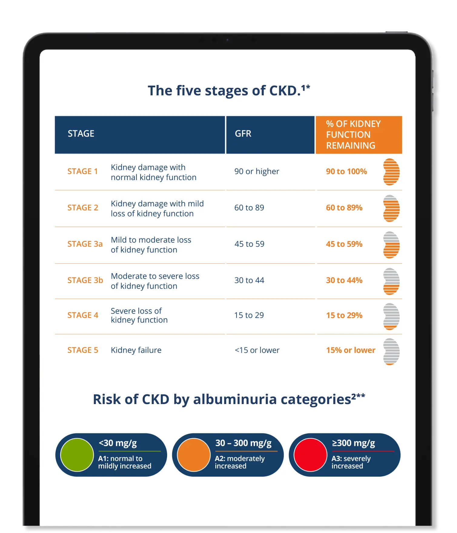 Gain a Comprehensive Understanding of CKD Diagnosis and Progression with eGFR and UACR