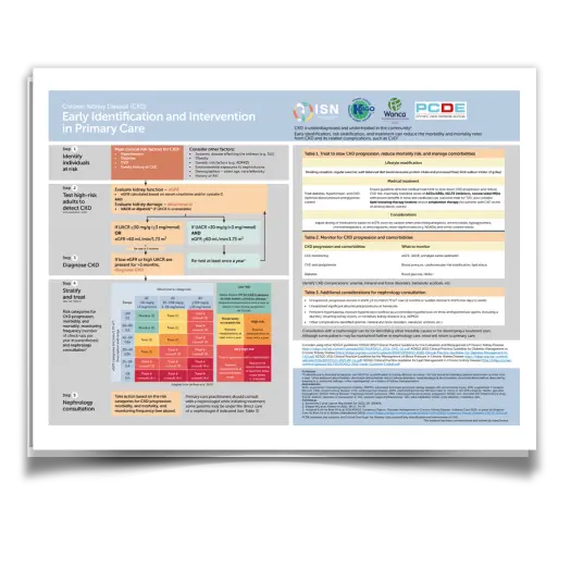 One-Page Guide Supporting CKD Identification and Intervention.